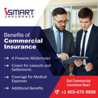 iSmart Insurance image 1